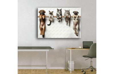 Evcil, Can Dostlar ve VeterinerTablosu vtr56