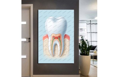 Dişçi Tablosu, Diş Kliniği Tablosu  dsc565