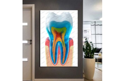 Dişçi Tablosu, Diş Kliniği Tablosu  dsc613