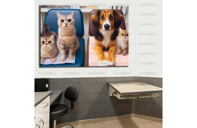 Evcil, Can Dostlar ve VeterinerTablosu vtr22