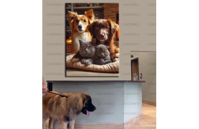 Evcil, Can Dostlar ve VeterinerTablosu vtr25