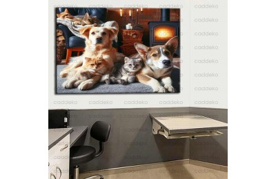 Evcil, Can Dostlar ve VeterinerTablosu vtr26