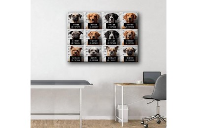 Evcil, Can Dostlar ve VeterinerTablosu Köpekler vtr35