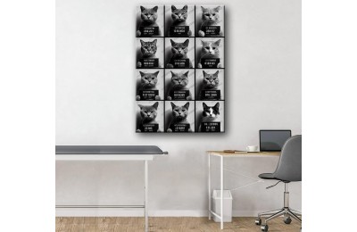 Evcil, Can Dostlar ve VeterinerTablosu Kediler vtr36