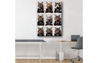 Evcil, Can Dostlar ve VeterinerTablosu Kediler vtr40