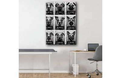 Evcil, Can Dostlar ve VeterinerTablosu Köpekler vtr42