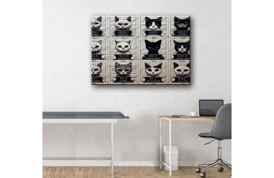 Evcil, Can Dostlar ve VeterinerTablosu Kediler vtr43