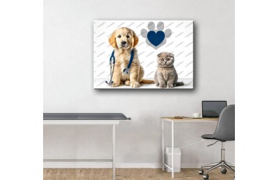 Evcil, Can Dostlar ve VeterinerTablosu Steteskop Kedi ve Köpek vtr48